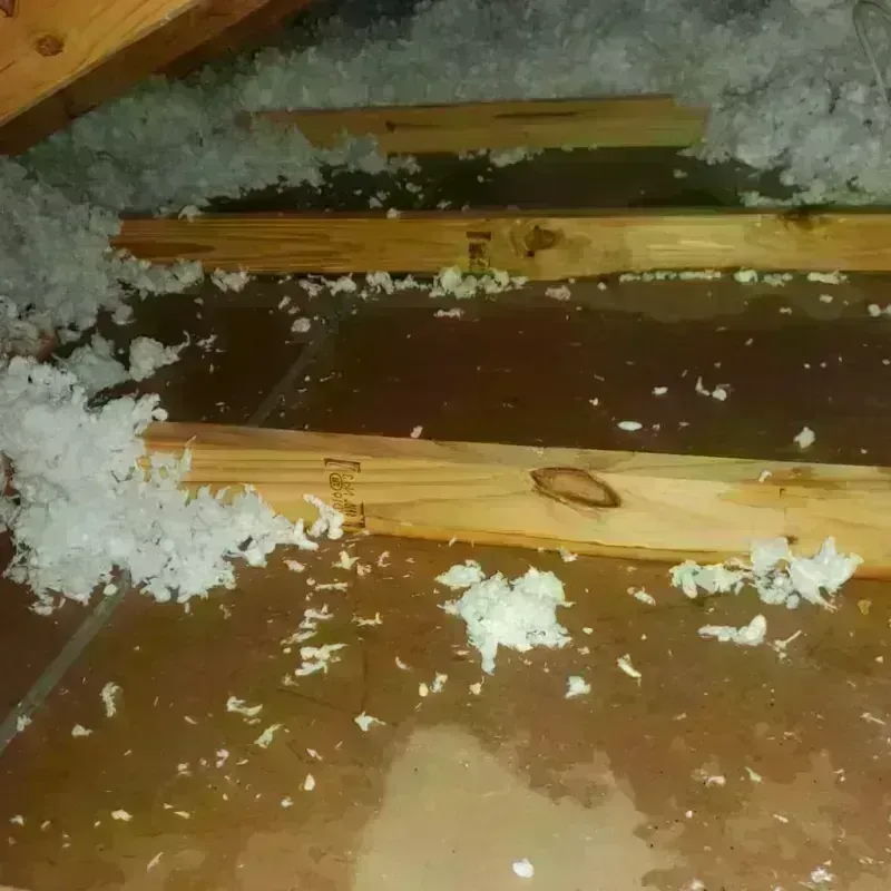 Attic Water Damage in Naperville, IL