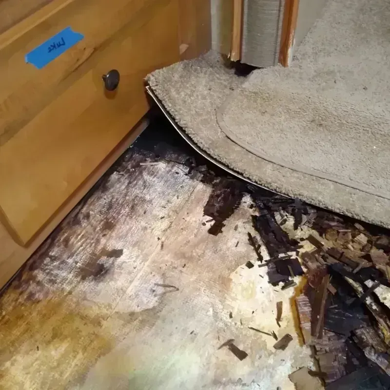 Wood Floor Water Damage in Naperville, IL